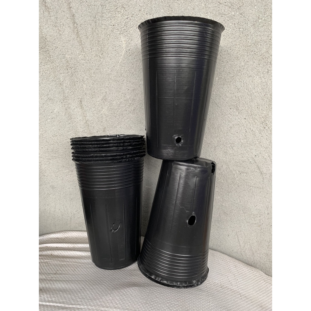 BẦU ƯƠM CÂY GIỐNG MÃ C15 (VIÊN NÉN XƠ DỪA, BẠT PHỦ ĐẤT CHỐNG CỎ, KEO LIỀN SẸO CÂY...)