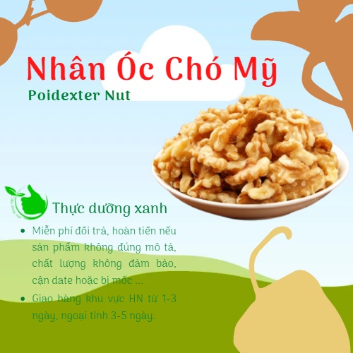 Hạt Óc Chó Tách Vỏ Poindexter Nhân Vàng Nhập Khẩu Mỹ 500Gr, Dinh Dưỡng Mẹ Bầu, Làm Sữa Hạt - Thực Dưỡng Xanh