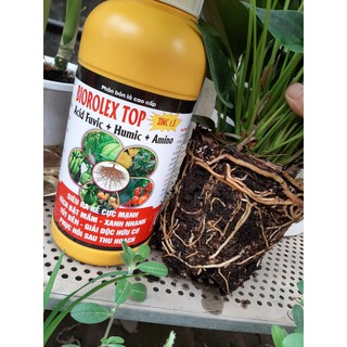 HUMIC ZINC SIÊU KÍCH RỄ CHỒI 1 LÍT