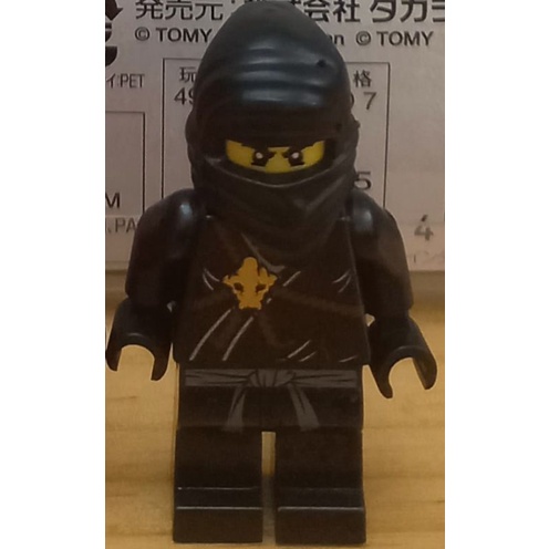 Lego Ninjago Cole Pilot