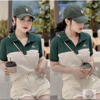Áo polo cá sấu nữ phối xanh trắng