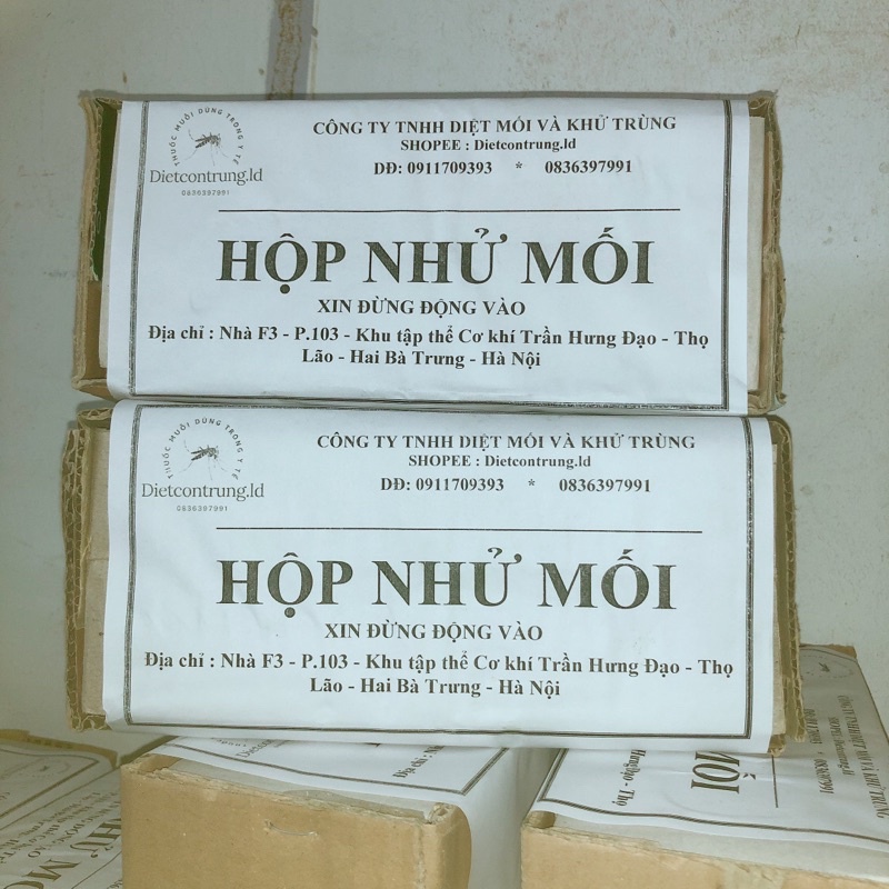 Hộp nhử mối làm bằng gỗ thông - dẫn dụ mối