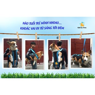 Địu đa tư thế cho chó từ 3 - 15kg