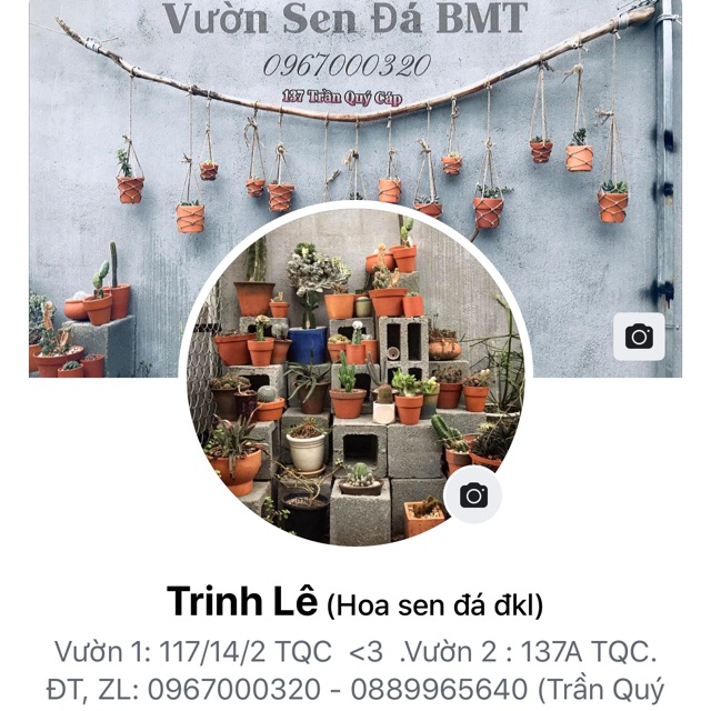 Vườn sen đá bmt - đaklak