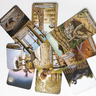 Bộ bài Animal Totem Tarot