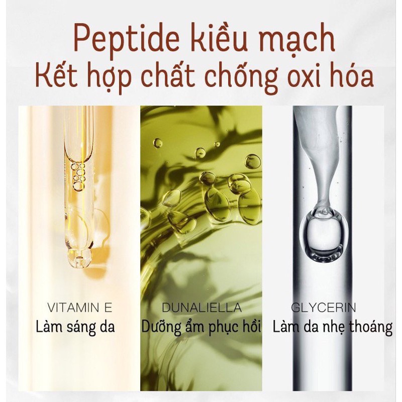 Phấn nước Cushion HEXZE cao cấp cho da dầu [tặng kèm lõi]