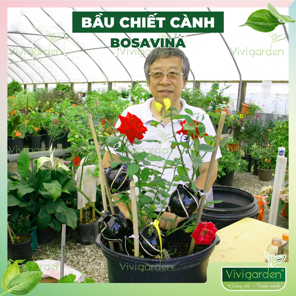 1 Bầu nhựa hộp chiết cành bosavina hỗ trợ chiết cành tạo rễ cực tốt bền hơn 4 năm