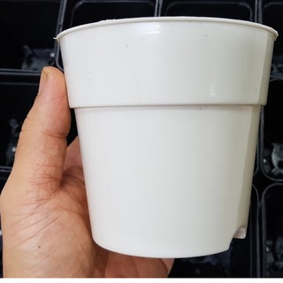 Chậu tròn 10x10 trắng