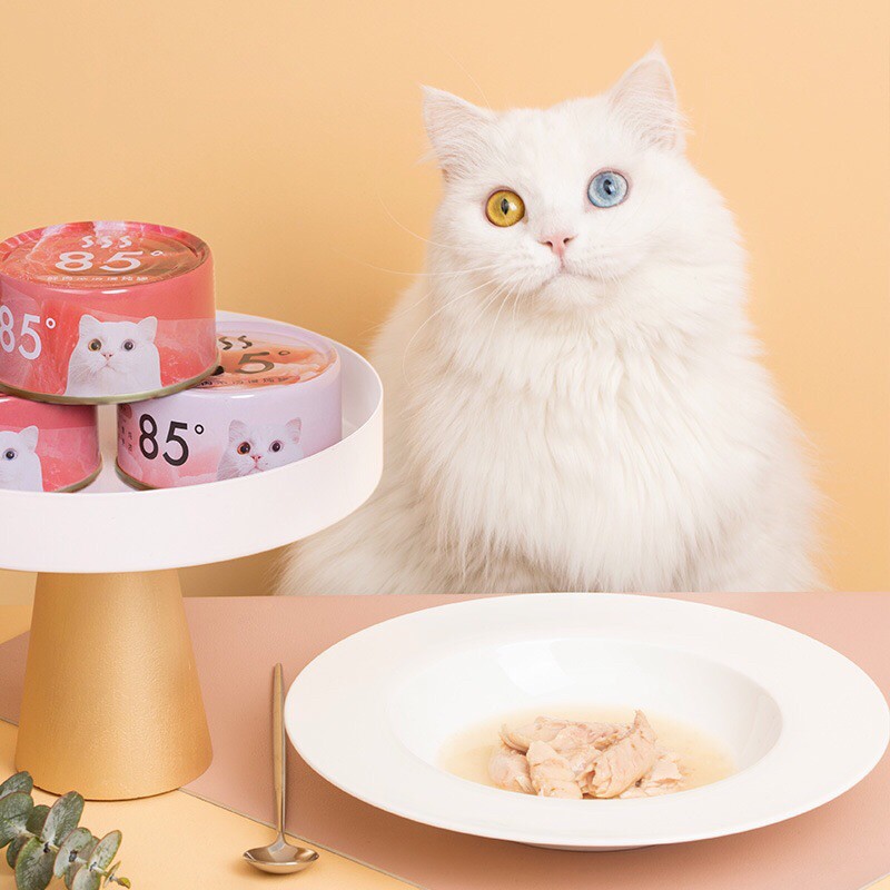 Súp thịt hộp cho mèo FURRY