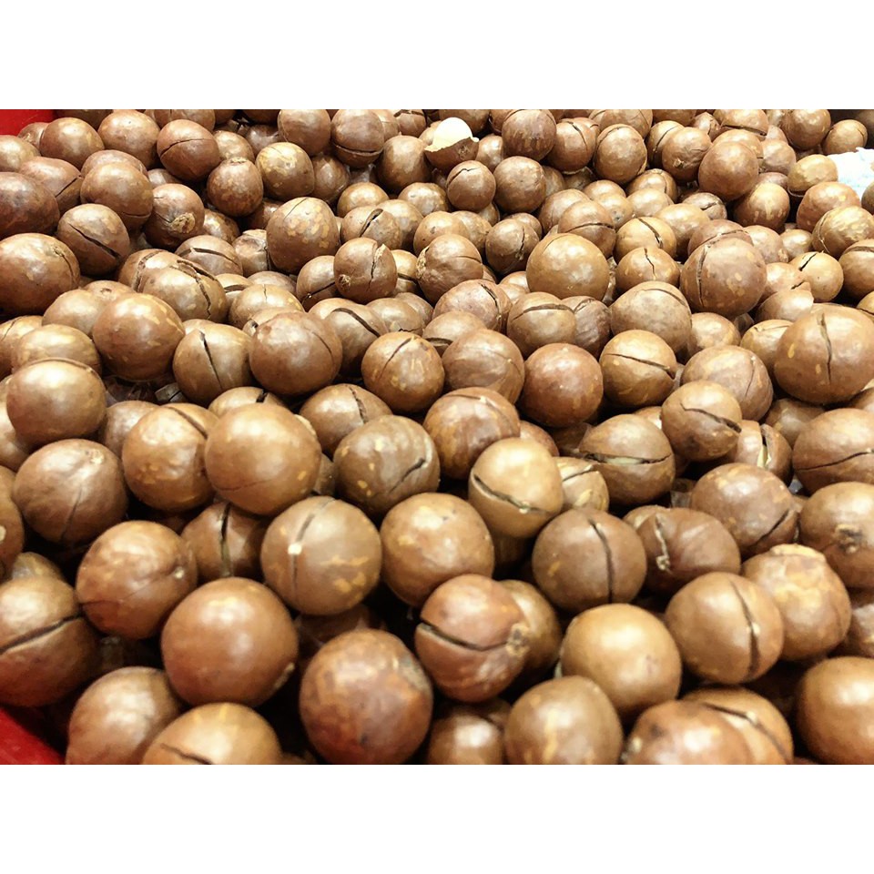 [Mã 154FMCGSALE giảm 8% đơn 500K] 500g Hạt macca dalak loại 1