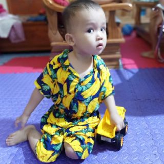 combo6 bộ lanh trái cây
