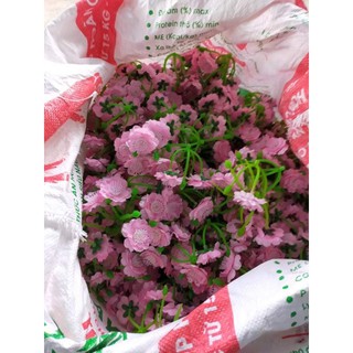 Hoa Đào Mai Giả 1kg