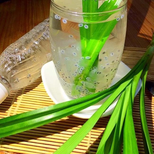 Thạch nha đam nguyên khoa 1kg, hạt có độ giòn, độ thơm và đều miếng - BẾP NGUYÊN KHOA
