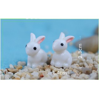 Combo 4 thỏ con trang trí tiểu cảnh - phụ kiện terrarium - phụ kiện trang trí tiểu cảnh