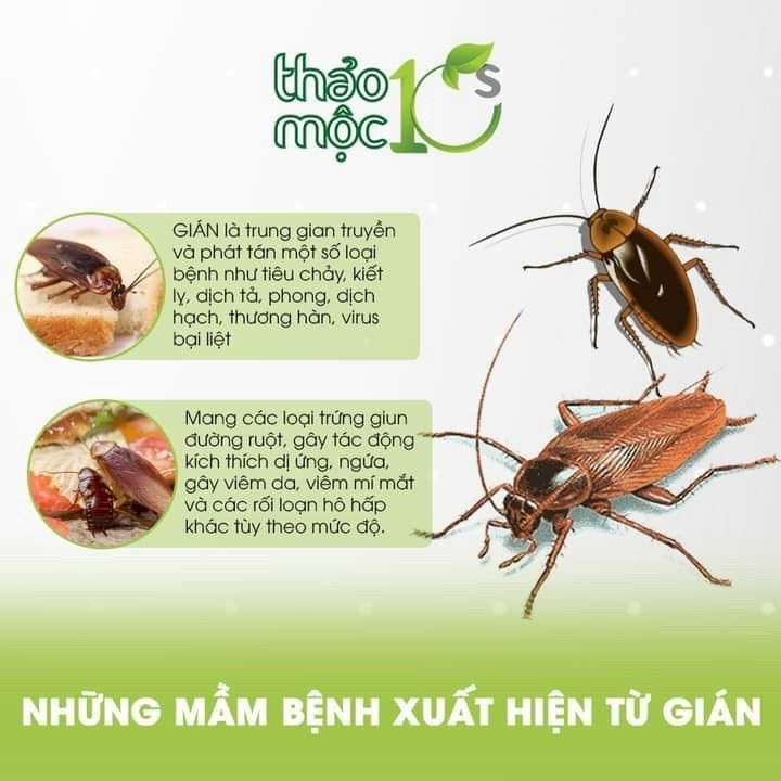 Diệt Muỗi, Kiến, Gián - An toàn hiệu quả | Thảo Mộc 10s Hương Sả Chanh [Chai 500ml]