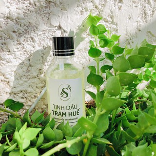 TINH DẦU TRÀM HUẾ