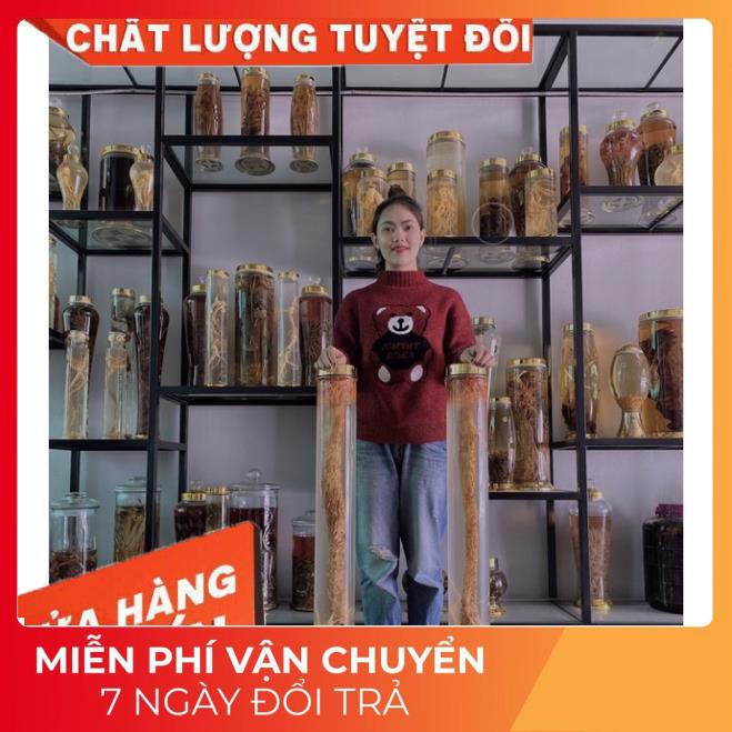 ⚡️DƯỢC LIỆU QUÝ⚡️Nhục thung dung tươi 1kg