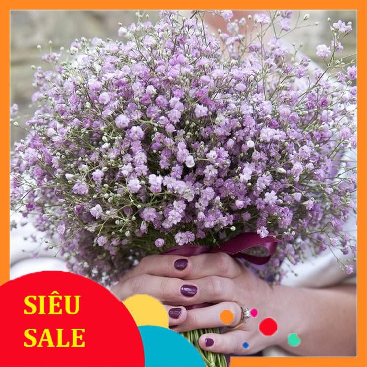 100 Hạt giống Baby mix (tặng gói Kích nẩy mầm và Hướng dẫn)