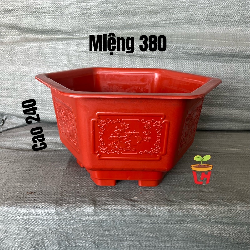 Chậu nhựa trồng cây