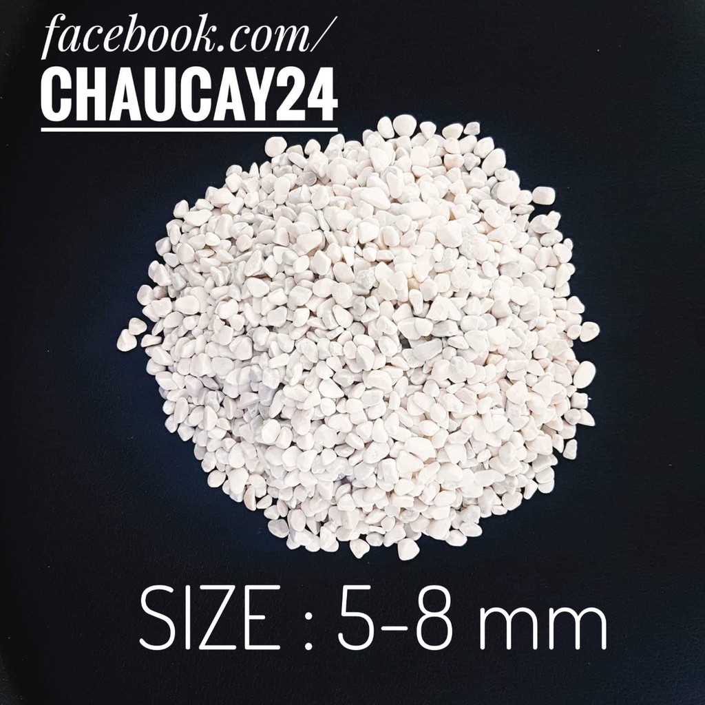 Sỏi trắng nhỏ size 5-8 mm trang trí bể cá, chậu cây cảnh, terrarium, sen đá, xương rồng