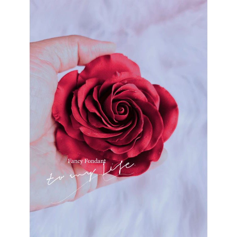 Fancy gumpaste tạo hình màu đỏ 100g tự khô