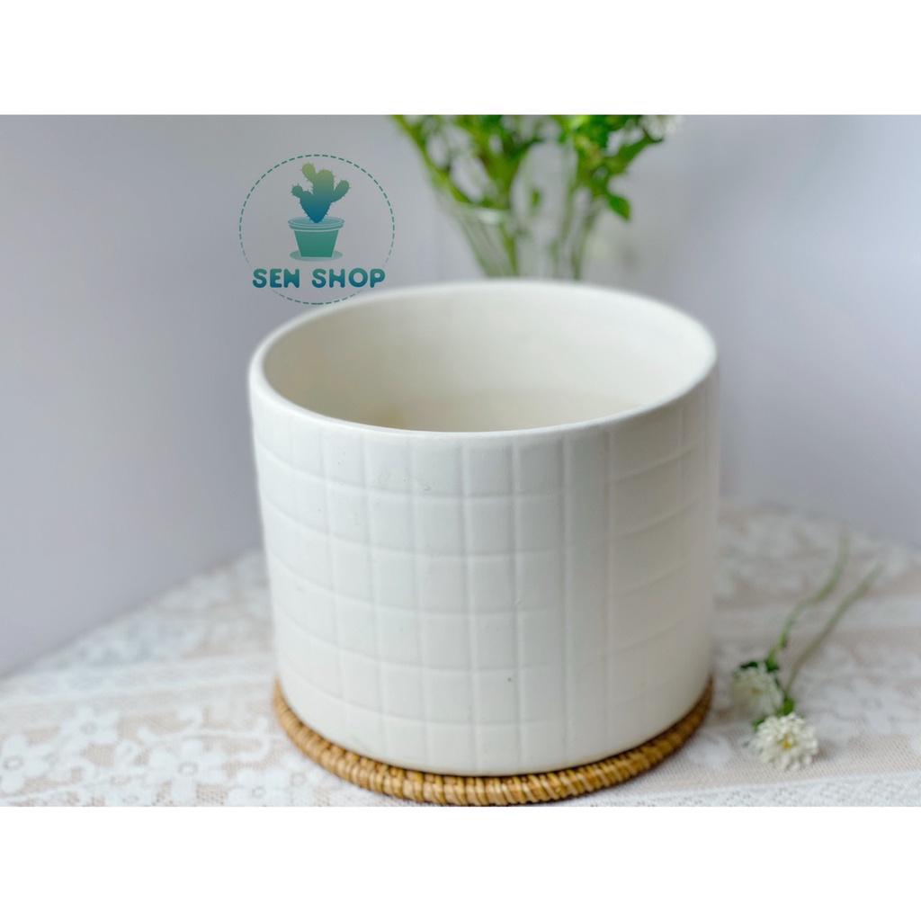 Châu men trống cây, chậu sứ .