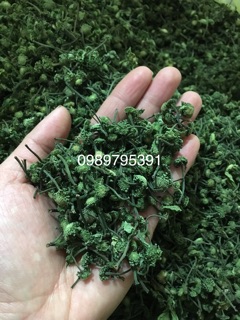 NỤ HOA TAM THẤT BẮC (500G)
