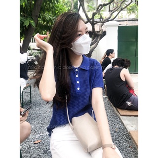 Áo polo len đục lỗ lưới có sẵn