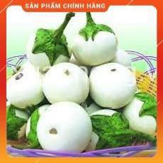HẠT GIỐNG CÀ PHÁO TRẮNG CAO SẢN