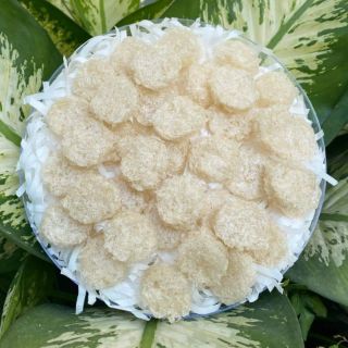 TỔ YẾN BABY