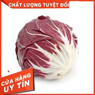 Hạt Giống Rau Xà Lách Cuộn Tím Cherokee( 0.2g) - Dễ Trồng, Giàu Dinh Dưỡng!