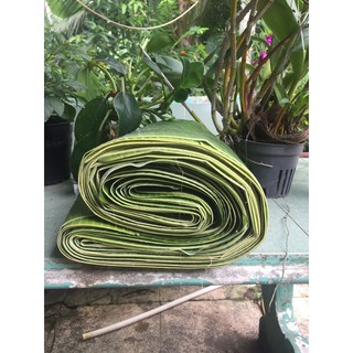 [ảnh thật] Lá chuối tươi nhà vườn 20.000