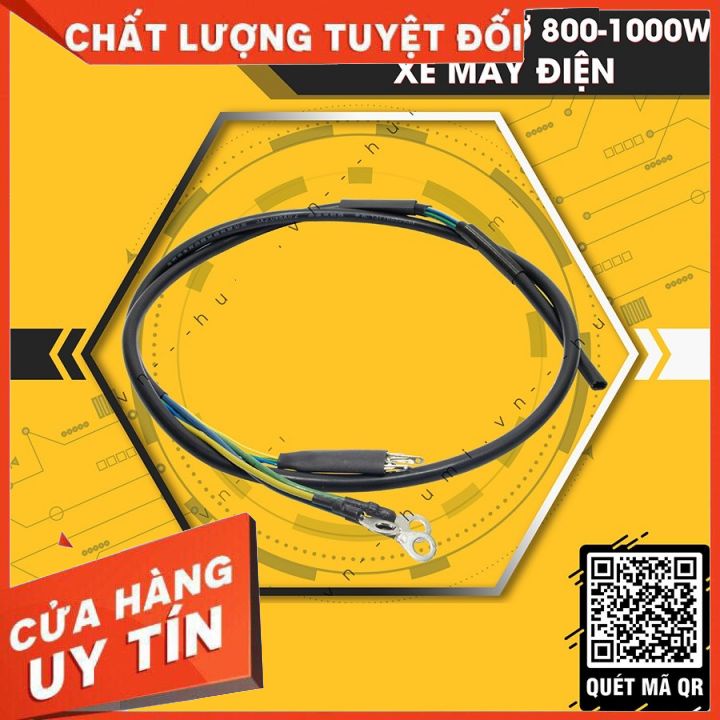 Động Cơ Xe 🚛 Dây Động Cơ Xe Điện 800-1000w CAO CẤP