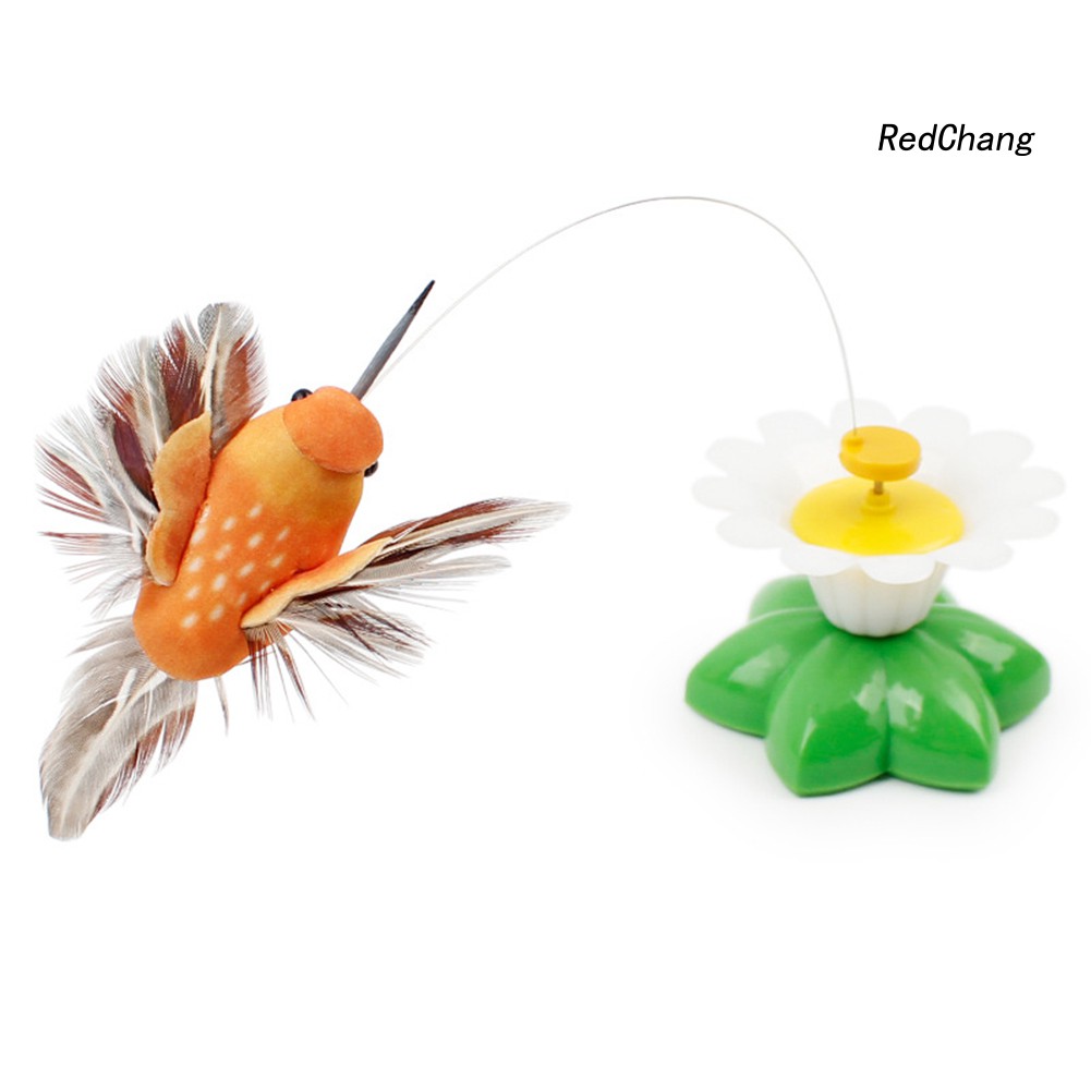 Đồ Chơi Tương Tác Thú Vị Cho Mèo