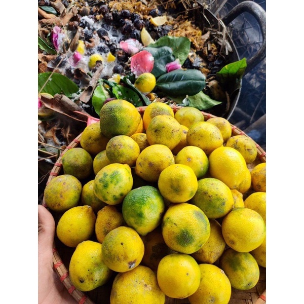 [HANMADE] TINH CHẤT THẢO MỘC 100%ORGANIC - CUNG CẤP DINH DƯỠNG MỌC TÓC LÀM DÀY TÓC | BigBuy360 - bigbuy360.vn