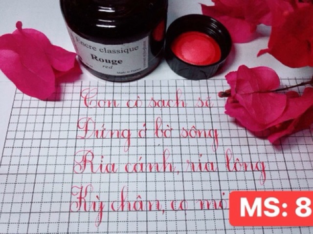 mực encre classique ( mực pháp)