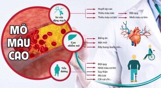 Hộp giấy Đựng Viên tinh dầu thông Nga