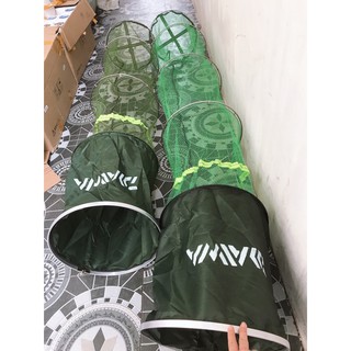 rọng cá daiwa cao cấp