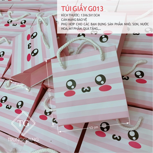 10 túi giấy G013