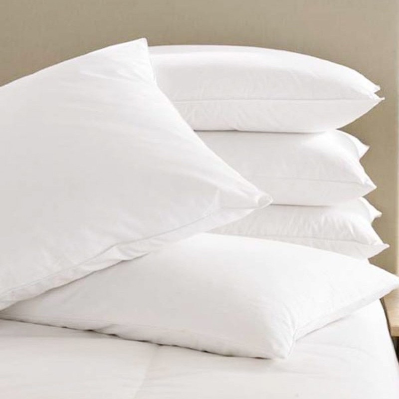 Ruột gối anime bông Hàn Quốc kéo khoá dakimakura / ruột gối ôm 40x1m ,40x1m5,40x50cm,50x1m50,43x43cm