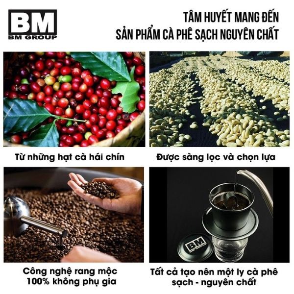 Cà Phê Phin Giấy - Hộp 10 Phin - BM SÁNG TẠO, hạt cà arabica và robusta hái chín, rang mộc, nguyên chất - BM GROUP | BigBuy360 - bigbuy360.vn