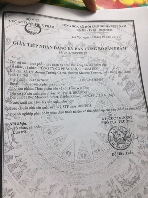 [Chính Hãng]  Wit bổ mắt hàng nhập khẩu từ Mỹ | BigBuy360 - bigbuy360.vn