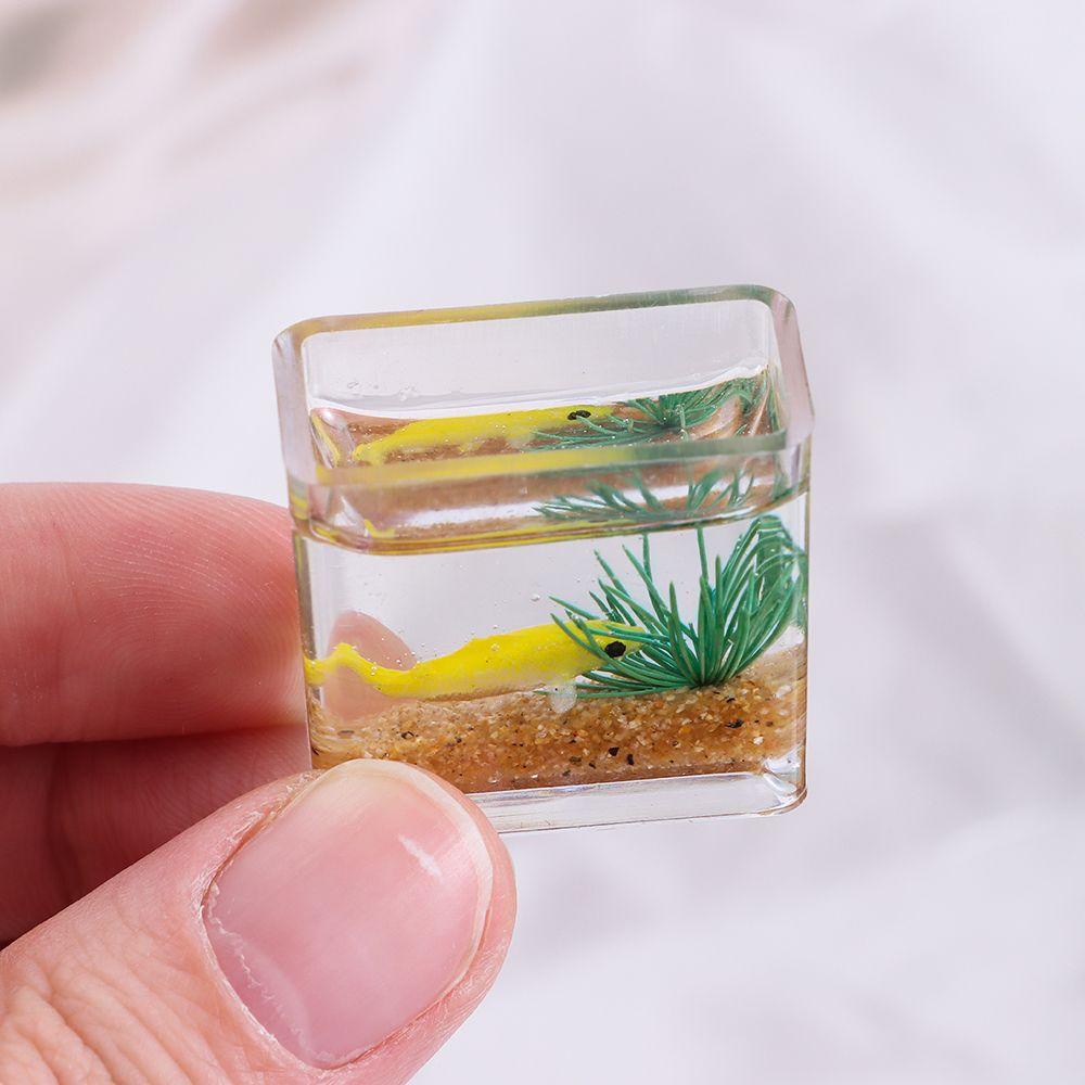 Bể Cá Mini Bằng Kính Màu Cầu Vồng