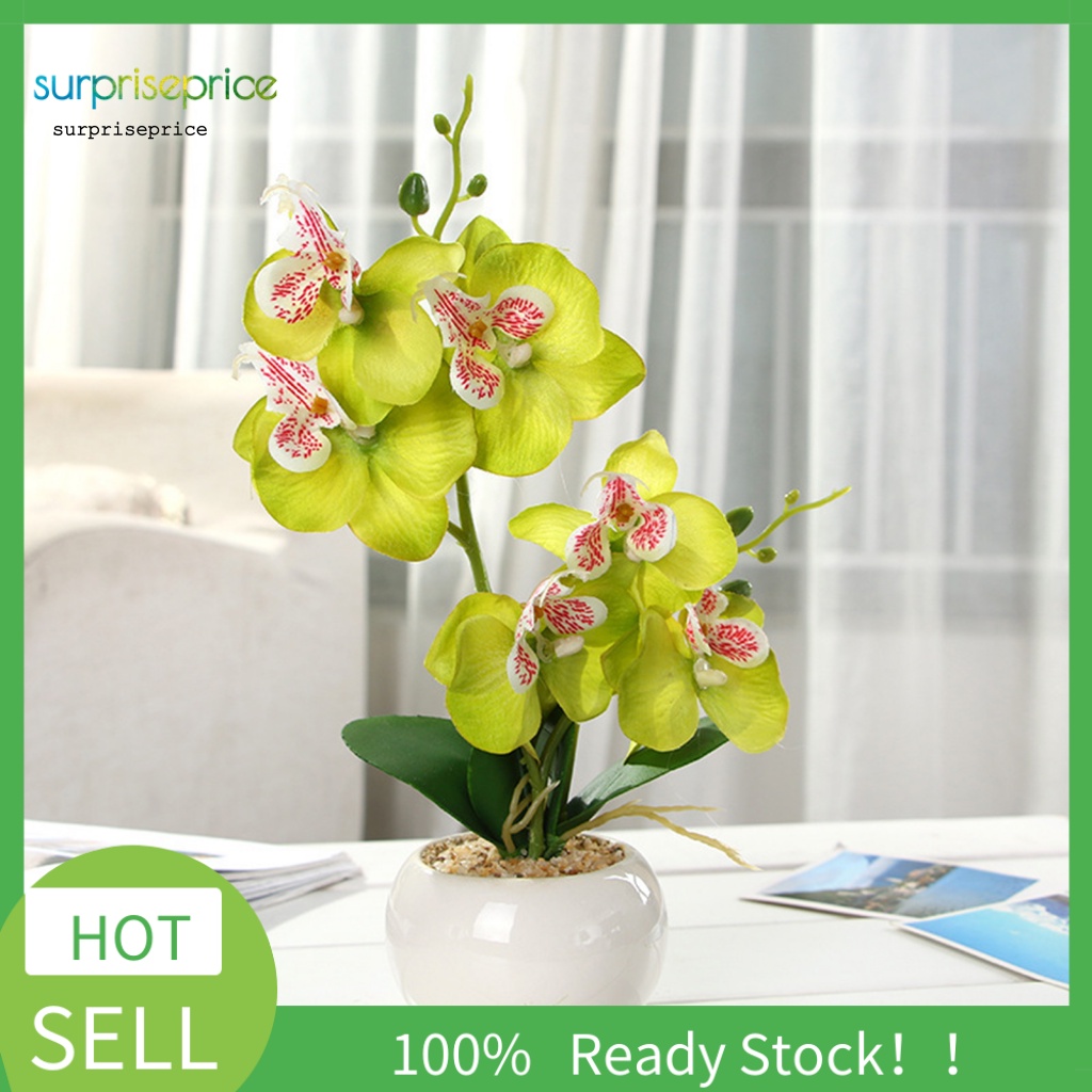 Chậu Cây Bonsai Giả Trang Trí Phòng Ngủ / SPA