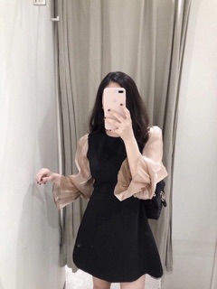 Đầm đen phối