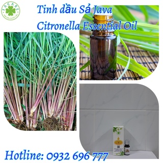 Tinh dầu Sả Java Citronella essential oil giúp khử mùi, thơm phòng, xua đuổi côn trùng hiệu quả - 100ml