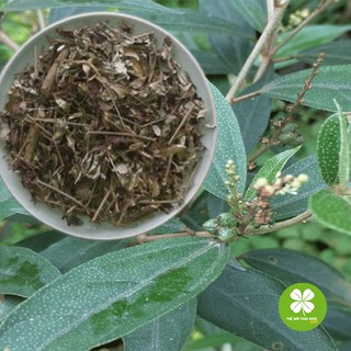 Lá khổ sâm (1kg) - TD189