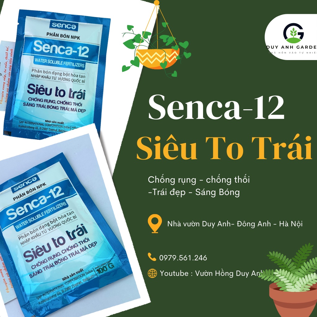 Phân bón NPK Senca 12 100GR siêu to trái chống rụng chống thối sáng trái bóng trái mã đẹp