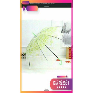 [ SIÊU KHUYẾN MẠI ] Ô dù trong suốt hoa văn 3D.