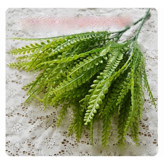 Cây dương xỉ măng sao pvc